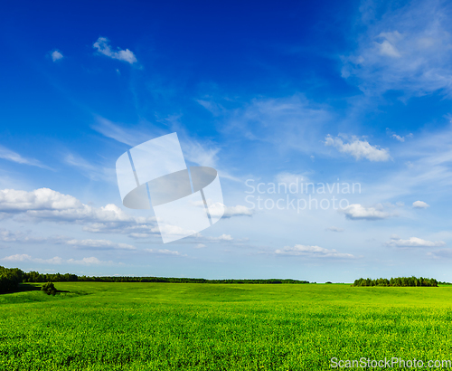 Image of Spring summer green field scenery lanscape