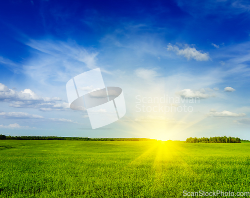 Image of Spring summer green field scenery lanscape