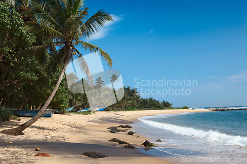 Image of Idyllic beach. Sri Lanka