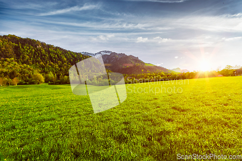 Image of Alpine meadow in Bavaria, Germany