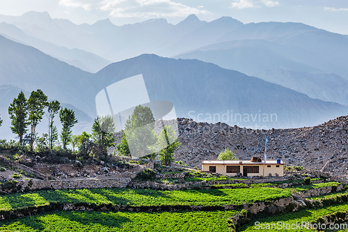 Image of Village in Himalayas