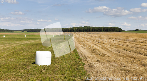 Image of straw grass roll