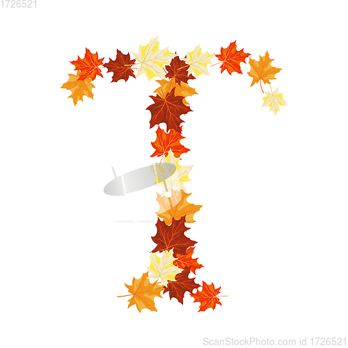 Image of Autumn Maples Leaves Letter