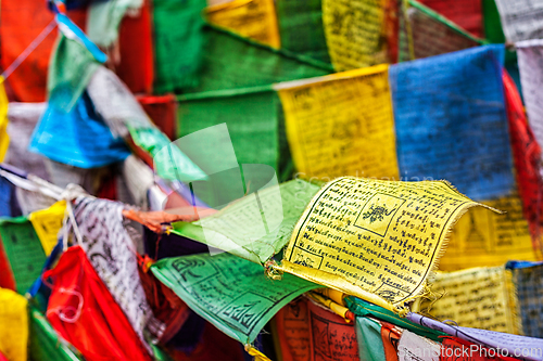 Image of Buddhist prayer flags lungta with prayers, Ladakh