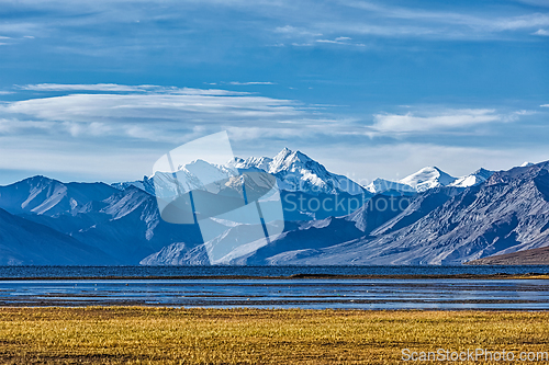 Image of Himalayan lake Tso Moriri in Himalayas, Ladakh