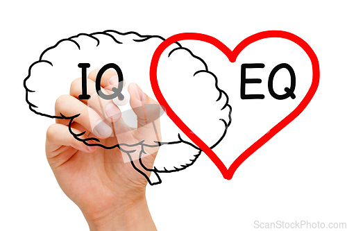Image of EQ Emotional Intelligence Plus IQ Brain And Heart Concept