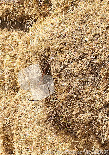 Image of bound straw