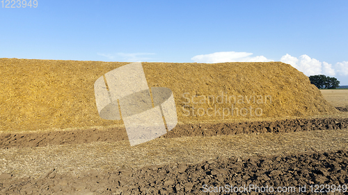 Image of a straw stack