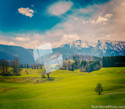 Image of German idyllic pastoral countryside in spring with Alps in background. Bavaria, Germany