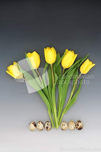 Image of Healthy Quail Eggs and Spring Tulip Flower Abstract 