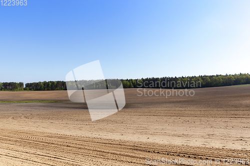 Image of brown soil