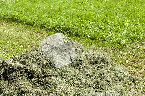 Image of mow grass lawn