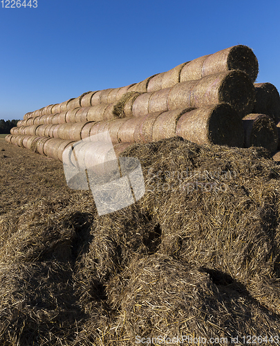 Image of straw huge