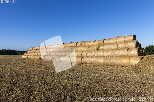 Image of packaged straw