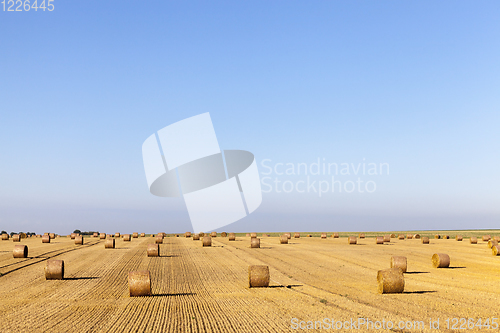 Image of straw straw