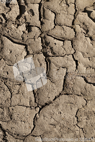 Image of earth dry crack season
