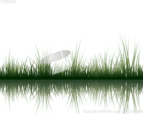 Image of meadow with reflection