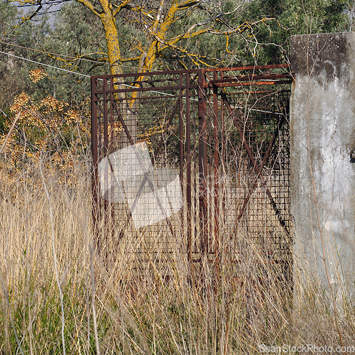 Image of rusty gate overgrown plants