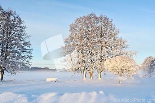 Image of beautiful winter landscape in the park on a sunny day