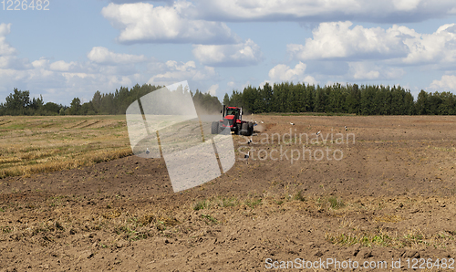 Image of Arable Field