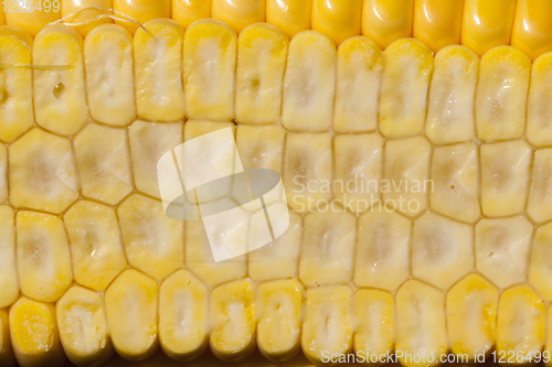 Image of grain structure corncob