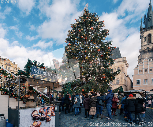 Image of Christmas tree at Old Town Square in Prague