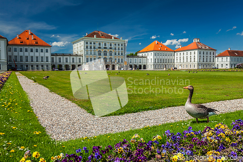 Image of Goose in garden in front of the Nymphenburg Palace. Munich, Bavaria, Germany