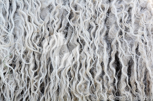 Image of fleece natural background