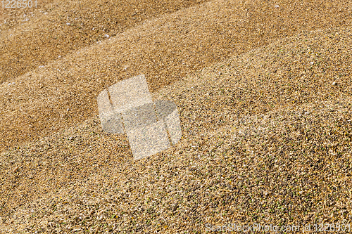 Image of mixed crop grain
