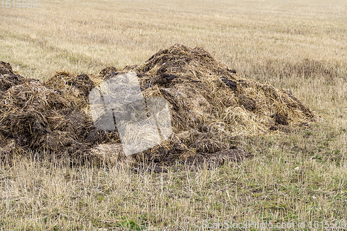 Image of field with manure heap