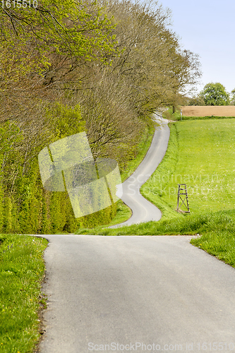 Image of woodside road scenery