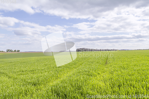 Image of rural landscape at spring time