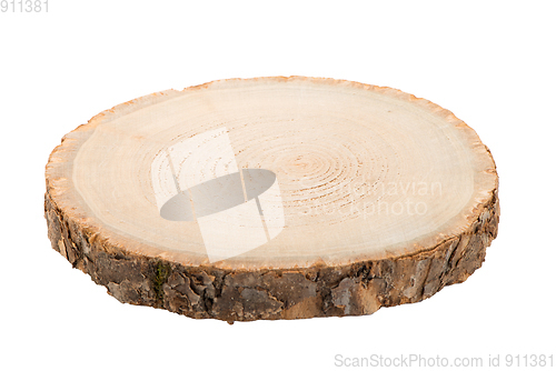 Image of Wood log slice