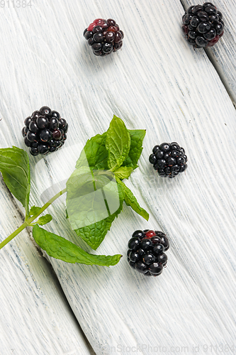 Image of Blackberries on white background