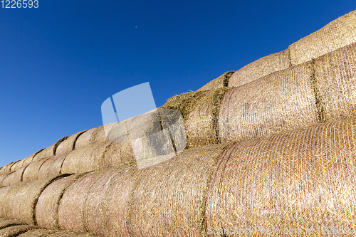 Image of straw of wheat