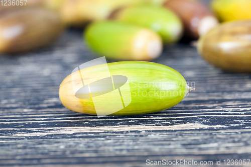 Image of colored yellow and brown acorns