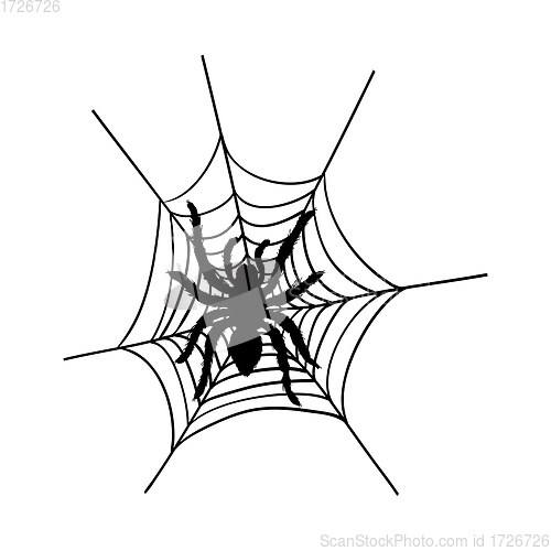 Image of Halloween black spider