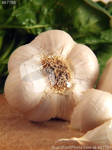 Image of Garlic