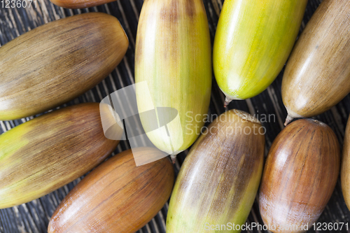 Image of oak nuts - acorns