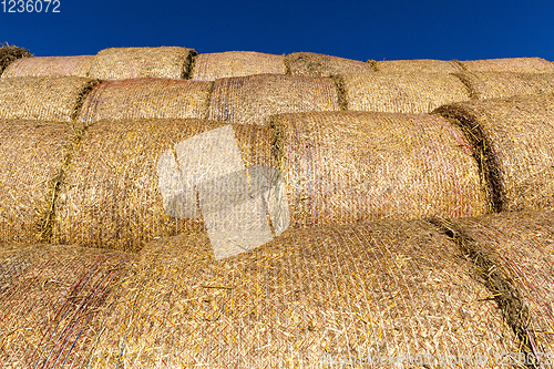 Image of cylindrical stacks