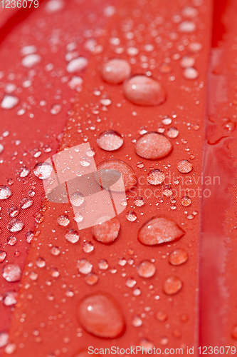 Image of red part of umbrella