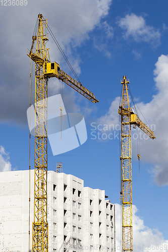 Image of yellow construction cranes