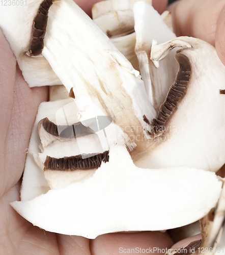 Image of champignons, sliced