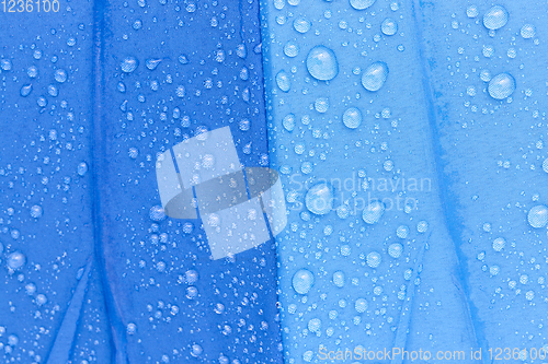 Image of blue umbrella