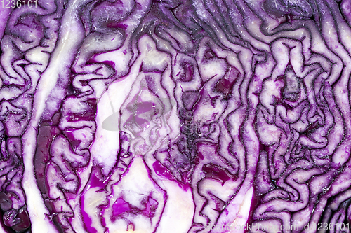Image of purple cabbage sliced