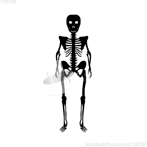 Image of Halloween Skeleton