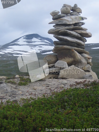 Image of Polar Circle #1