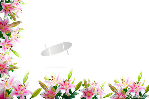 Image of lily flowers composition frame