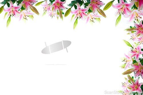 Image of lily flowers composition frame