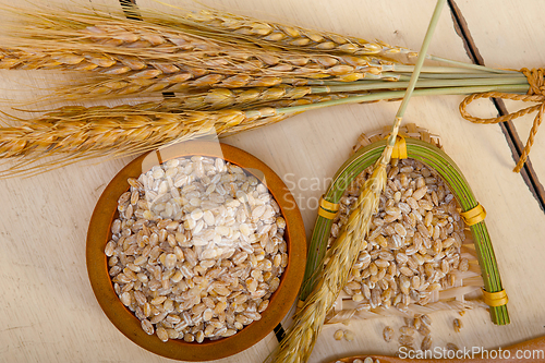 Image of organic barley grains